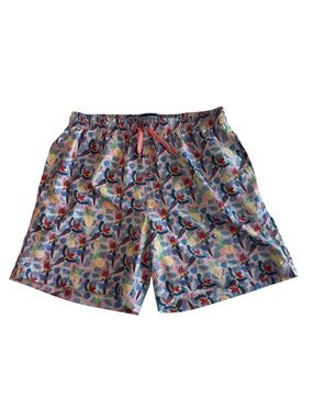 Burlebo Tropical Parrot and Pineapple Print Swim Shorts in Blue and Pink